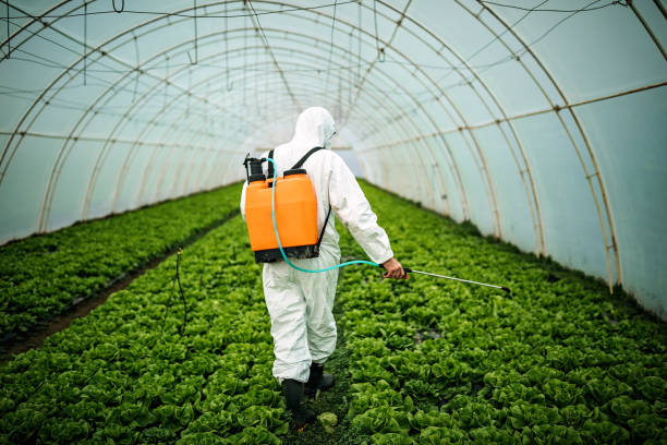  Collierville, CA Pest Control Pros