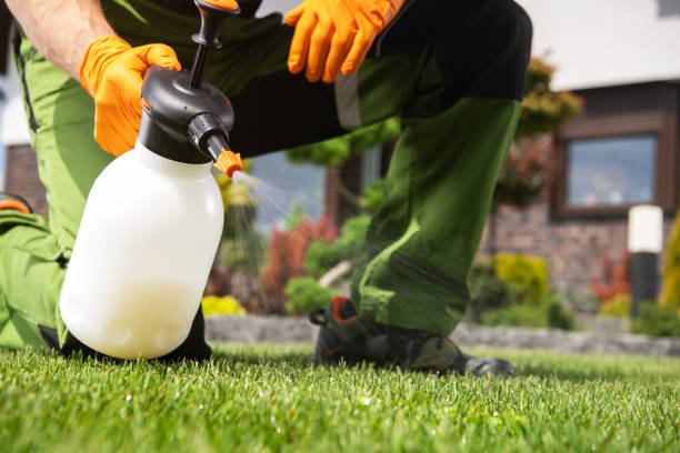 Best Affordable Pest Control Services  in Collierville, CA