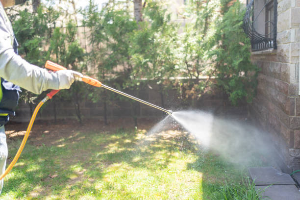 Best Termite Control Services  in Collierville, CA
