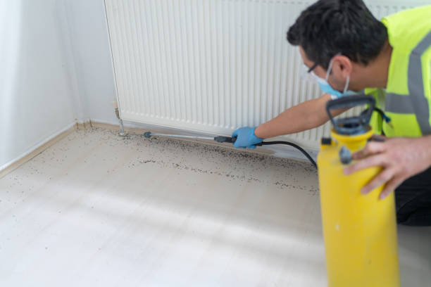 Best Pest Control Near Me in Collierville, CA